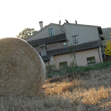 Molenda B&B Читта-ді-Кастелло Екстер'єр фото